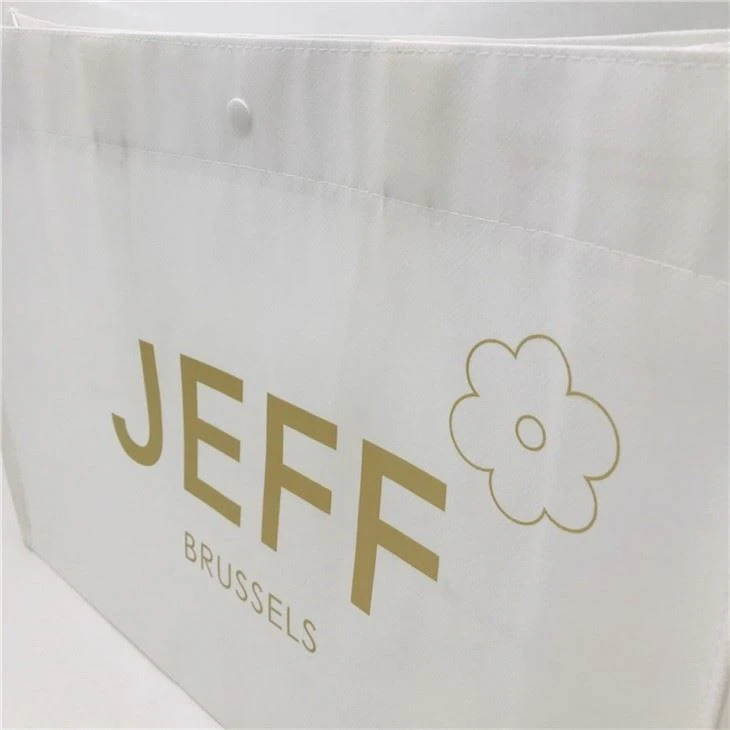 Stylish Reusable Non Woven Bag